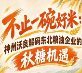 一碗好米蕴藏大商机 神州沃良解读东北粮油秋糖增长逻辑